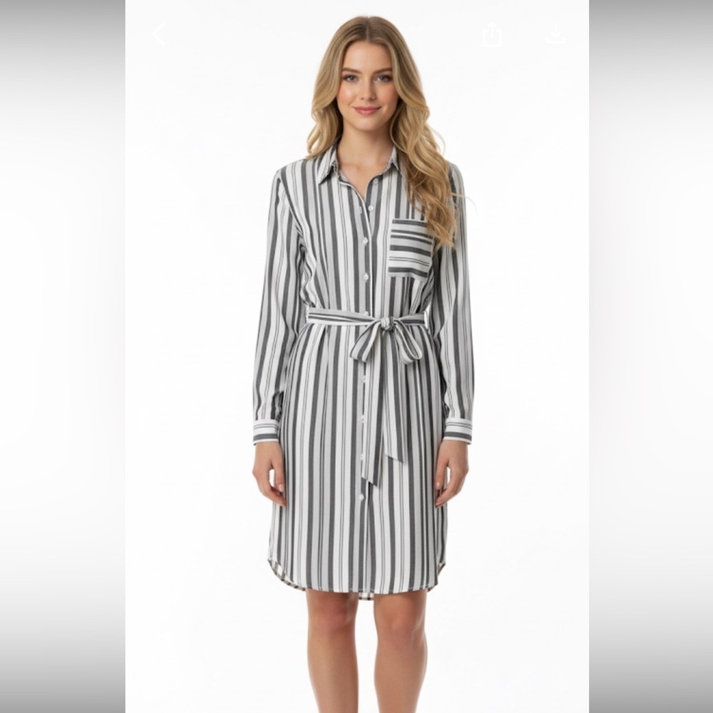 BANANA Republic size 2 striped belted shirt dress